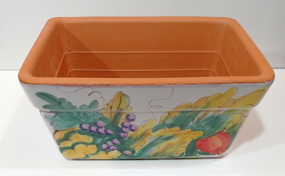 Rectangular Cassette Planter White Background and Fruit Vietri With