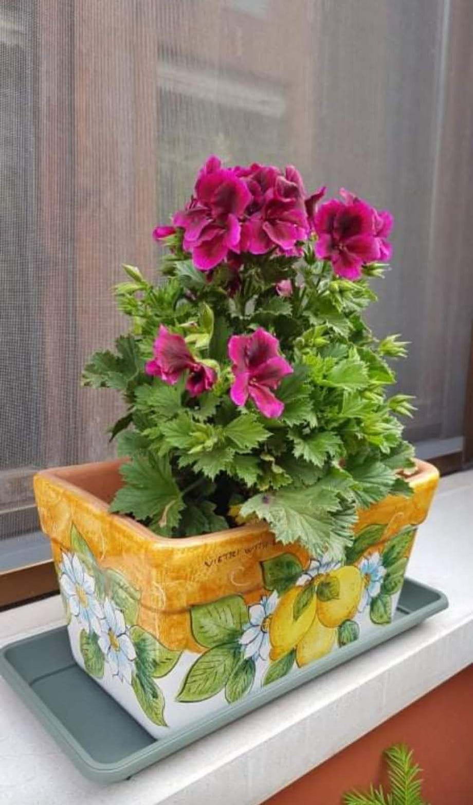 Rechteckiger Blumenkasten